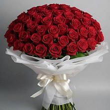 Букет 101 Красная роза Блэк Мэджик в Упорной