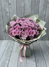 Букет цветов из:  Хризантемы #REPLACE_PRED# Упорной