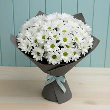 Букет цветов из:  Хризантемы #REPLACE_PRED# Упорной