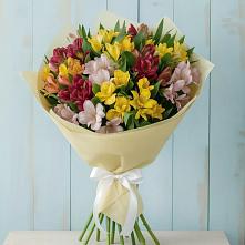 Букет цветов из:  Альстромерии #REPLACE_PRED# Упорной