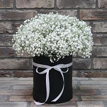 Цветочная композиция из Гипсофила в шляпной коробке в Упорной